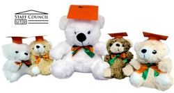 Purchase Teddy Bears for Your Graduates