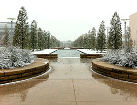 Campus Mall in Winter