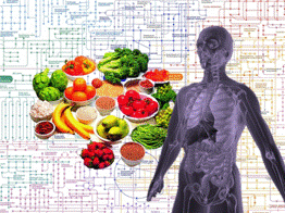 NUTRITION AND METABOLISM