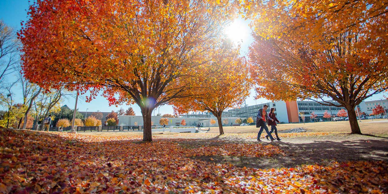 Students walk past fall leaves and trees 