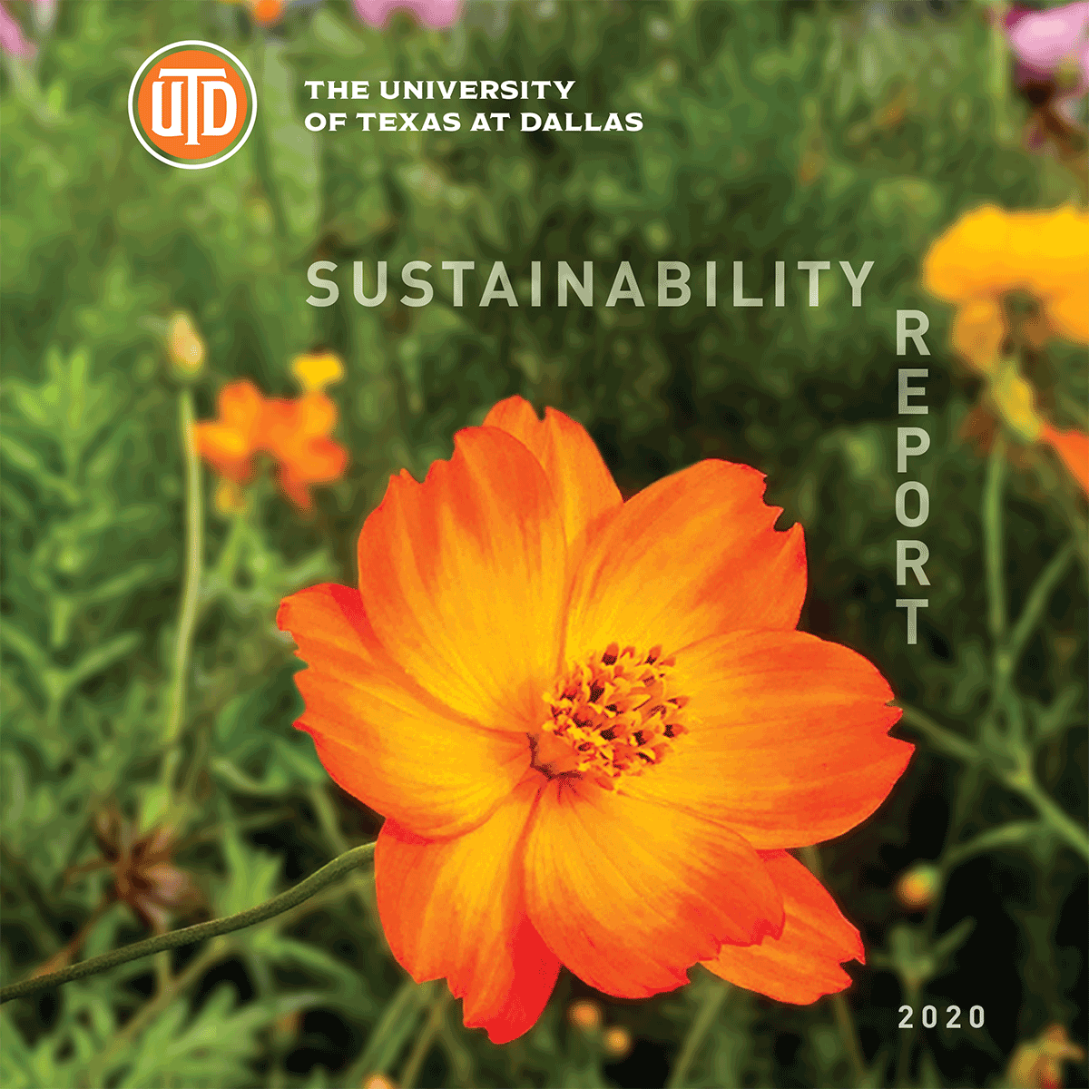 Download the 2020 Sustainability Report